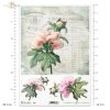 peonia, peonie, piwonia, piwonie, kwiat, ogród, lato, stare faktury handlowe, R983, peony, peonies, flower, garden, summer, old commercial textures, Pfingstrose, Blume, Garten, Sommer, alte Handelstexturen, peonía, flor, jardín, verano, texturas del comer